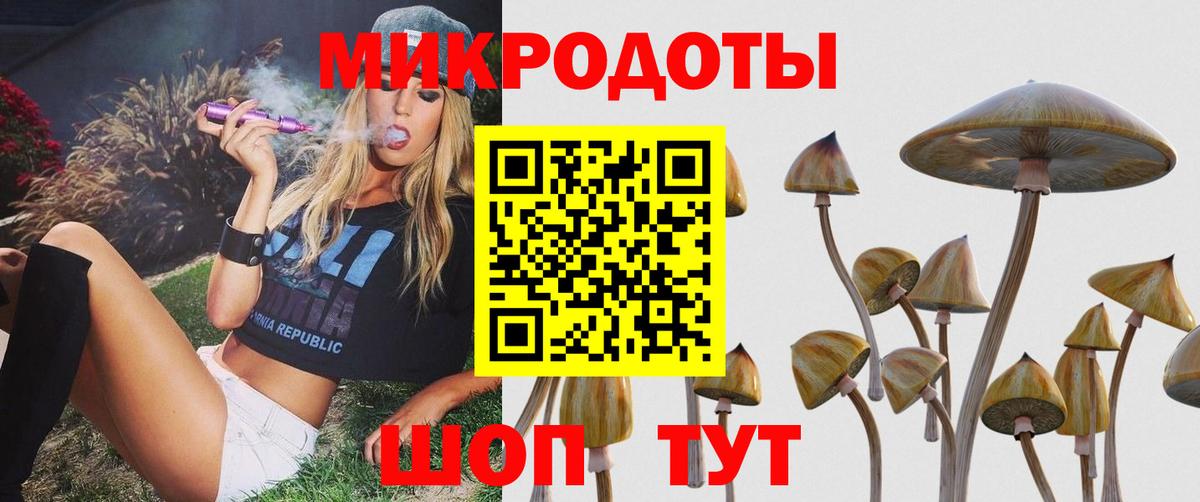 Псилоцибиновые грибы Magic Shrooms  Галлюциногенные грибы Magic Shrooms  Канаш  где продают наркотики  Вход с VPN 